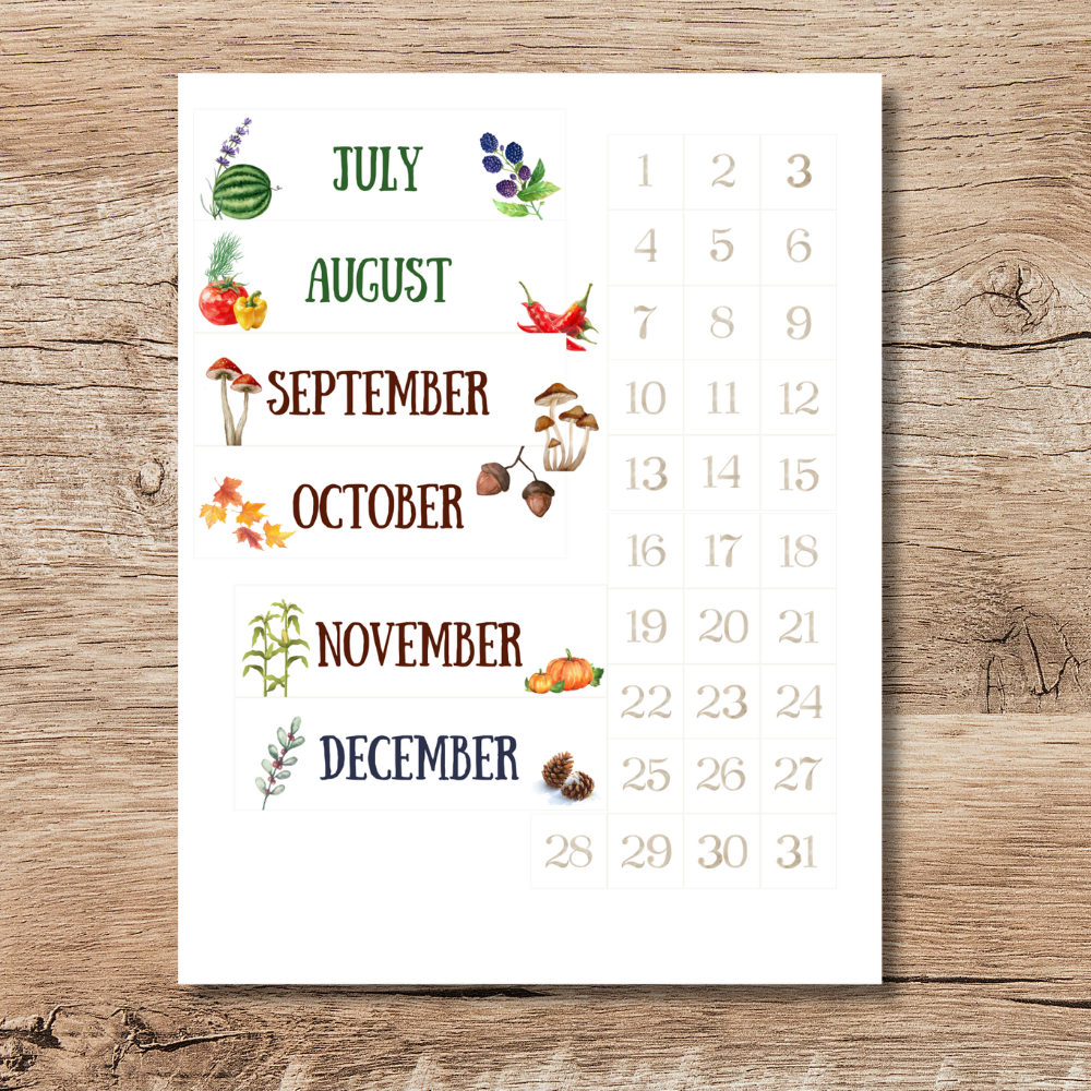 Animal Themed Perpetual Calendar