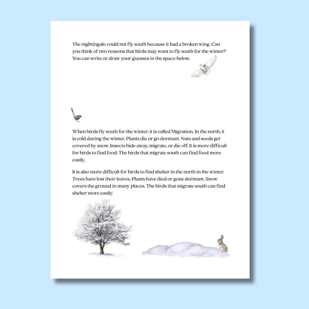 The Winter Bird Curriculum Unit