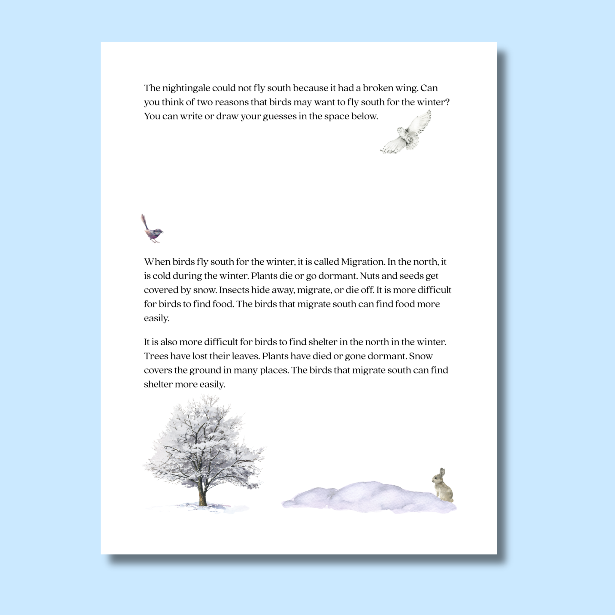 The Winter Bird Curriculum Unit