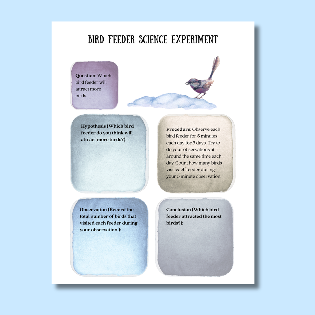 The Winter Bird Curriculum Unit